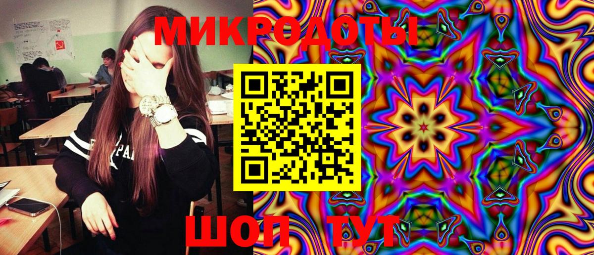 Галлюциногенные грибы Psilocybe Нижний Новгород