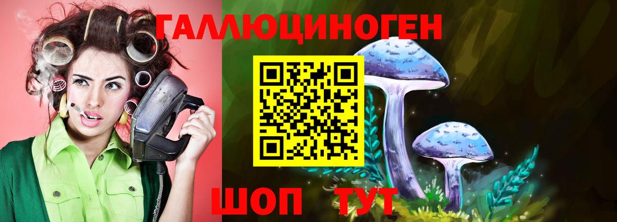 Нижний Новгород  Псилоцибиновые грибы Psilocybine cubensis  Вход с VPN  Галлюциногенные грибы Psilocybine cubensis 